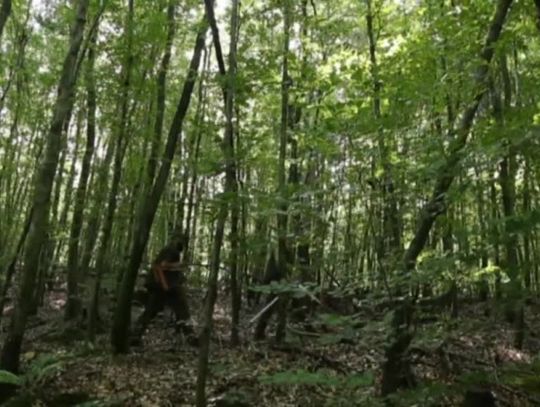 Elbląg. Wiadomości Truso.TV 19.03.2019