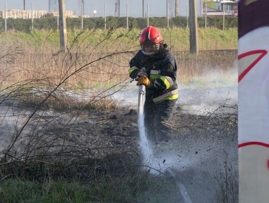 Elbląscy strażacy interweniowali blisko 2000 razy