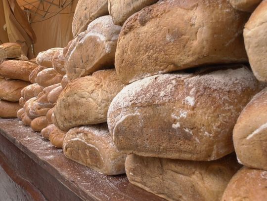 Elbląskie Święto Chleba już w ten weekend [PROGRAM]