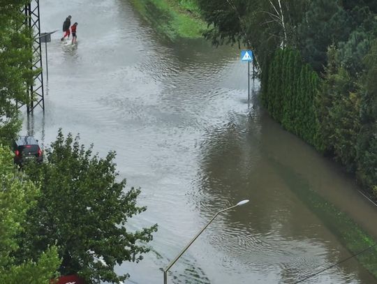 Elblążanie po raz kolejny okazali serce. Zebrana kwota podczas zbiórki jest imponująca