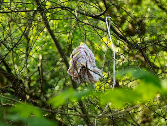 Elblążanie posprzątali dzielnicę Nad Jarem – wspólna akcja na Dzień Ziemi [GALERIA ZDJĘĆ]