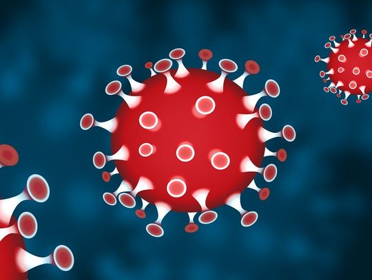 Epidemia w regionie. Nowy przypadek zakażenia w powiecie elbląskim