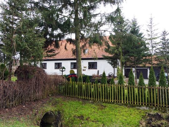 Fundacja Dumni z Elbląga musi oddać pieniądze