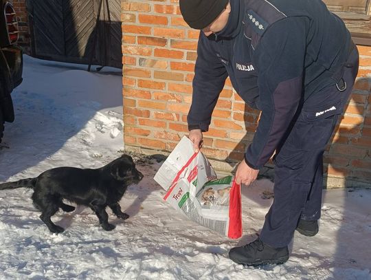 Gdy zabrakło kontaktu — ruszyli policjanci. Ta historia chwyta za serce