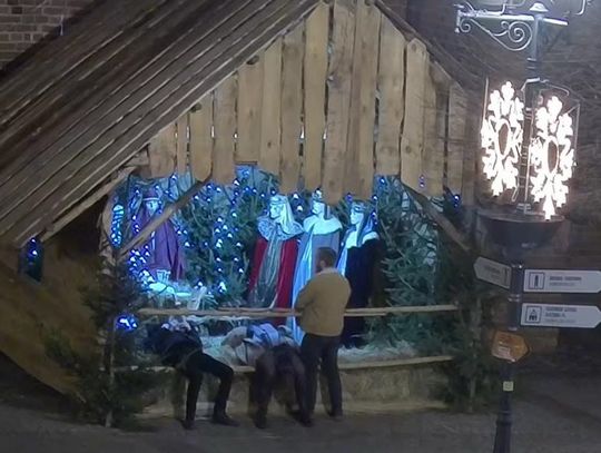 Głos z elbląskiej szopki. "Po chwili przyjedzie policja"