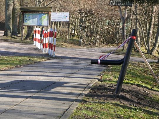 Idąc do lasu odpoczniesz 