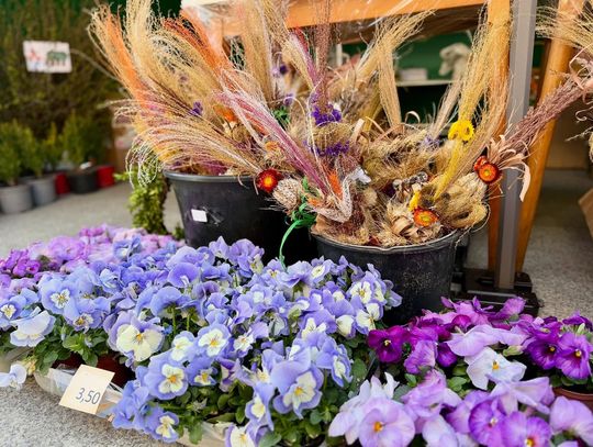 II Elbląski Jarmark Wielkanocny – co jeszcze czeka na mieszkańców?