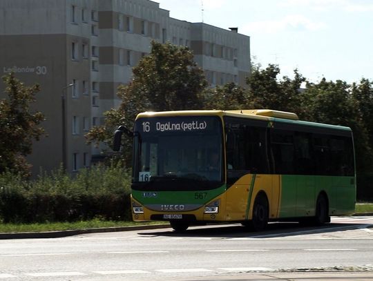 Jak powinna funkcjonować komunikacja miejska w Elblągu? [SONDA]