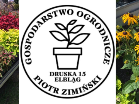 Jak przygotować ogród na jesień?