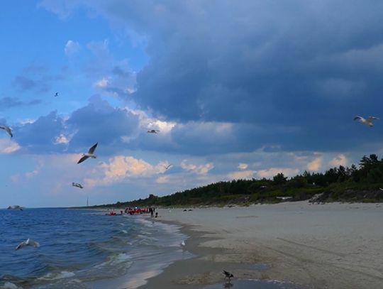 Jak znaleźć bezpieczne kąpielisko z czystą wodą? [VIDEO]