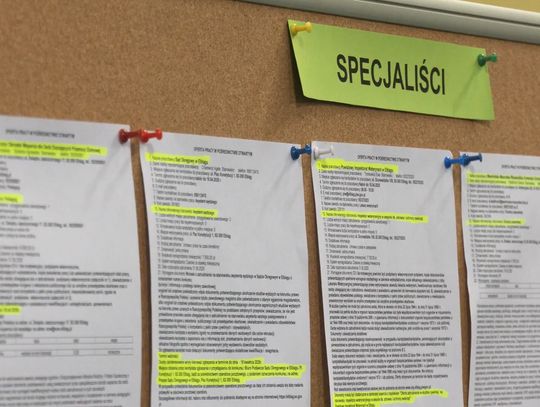 Jakie zawody są najbardziej poszukiwane w Elblągu? Najnowsze oferty pracy