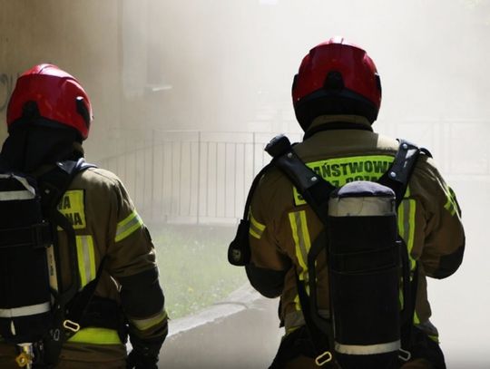 Jeszcze przed Wigilią nowy obowiązek. Musisz to mieć w mieszkaniu