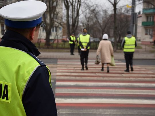Jutro ogólnopolska akcja policji. Policja przyjrzy się bliżej również pieszym!