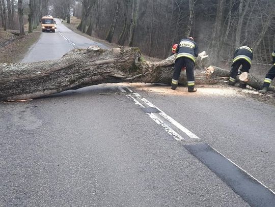 Już ponad 100 interwencji strażaków