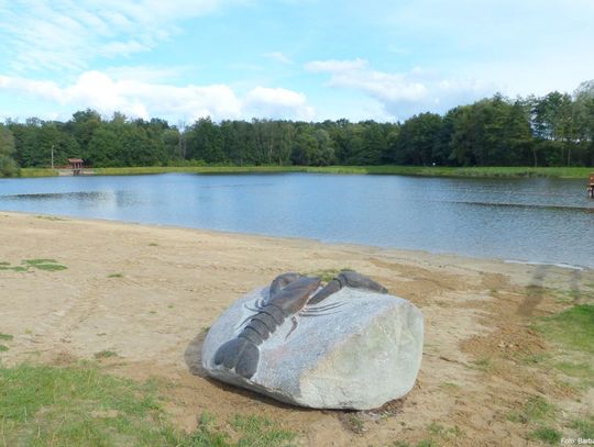 Kamienny rak na plaży w Pasłęku