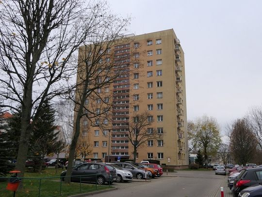 Karaluchy i prusaki w całym bloku. Mieszkańcy proszą o pomoc