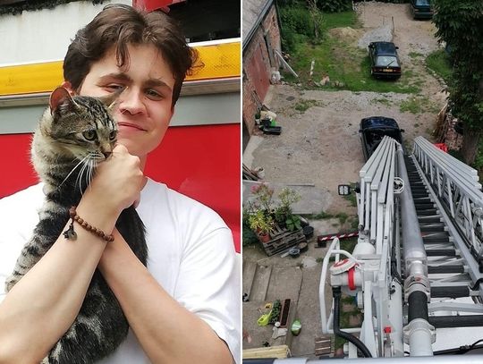 "Każde życie jest ważne". Strażacy z Krzewska uratowali kotka