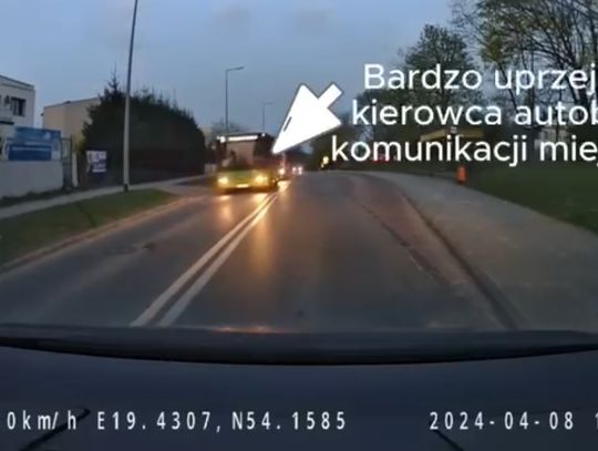Kierowca autobusu i jeż. Do sieci trafiło nagranie [WIDEO]