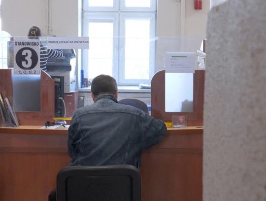 Kogo szukają do pracy w Elblągu? Najnowsze oferty