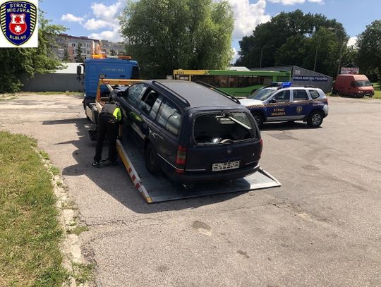 Kolejne pojazdy znikają z elbląskich ulic. Akcja Straży Miejskiej w Elblągu trwa!
