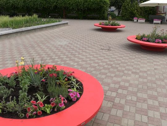 Kolorowe doniczki. Hit czy kit?