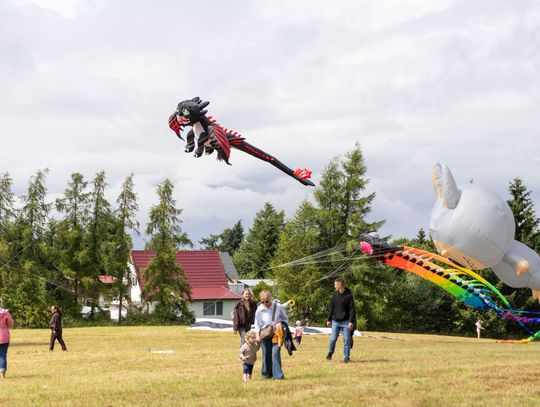 Kolorowe latawce nad Wysoczyzną Elbląską. Za nami Święto Wiatru i Podcieni [FOTO]