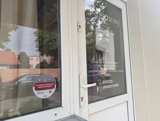 Kosmosy królują! Znamy najulubieńszą kwiaciarnię w Elblągu – wyniki głosowania mieszkańców
