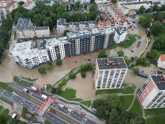 Kumiela wylała. Prezydent Elbląga powołał komisję
