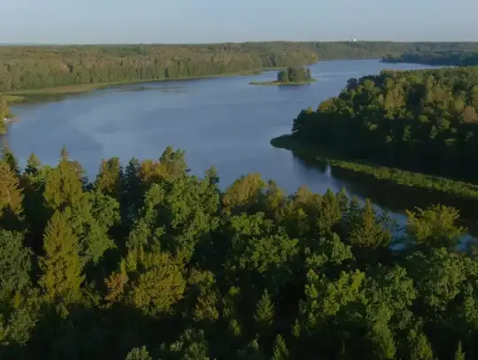 Leśne sekrety ochrony: wśród rezerwatów i pomników Nnatury