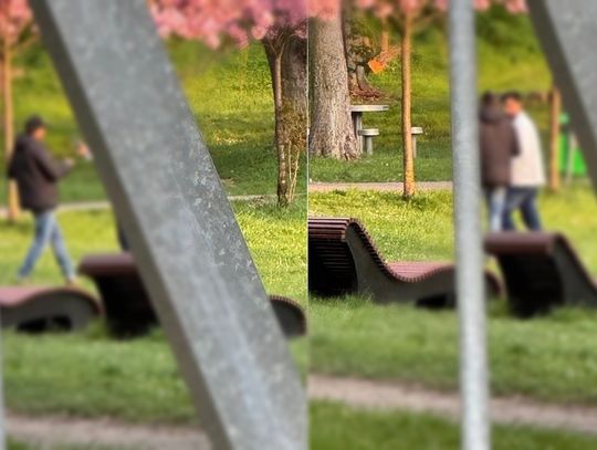 "Mężczyźni robili w parku zdjęcia bawiącym się chłopcom"