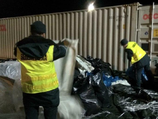 Miał trafić do Holandii