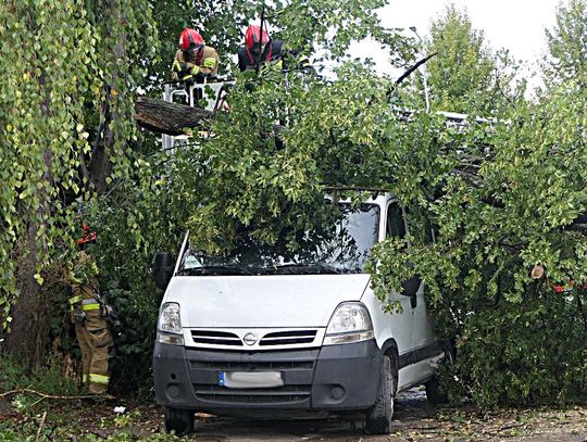 Miał zostać odstawiony do mechanika. Spadło na niego drzewo