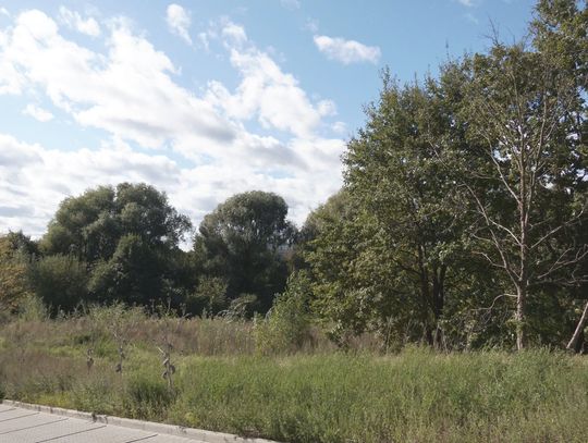 Miasto chce sprzedać działki między ul. Częstochowską i Legionów [VIDEO]