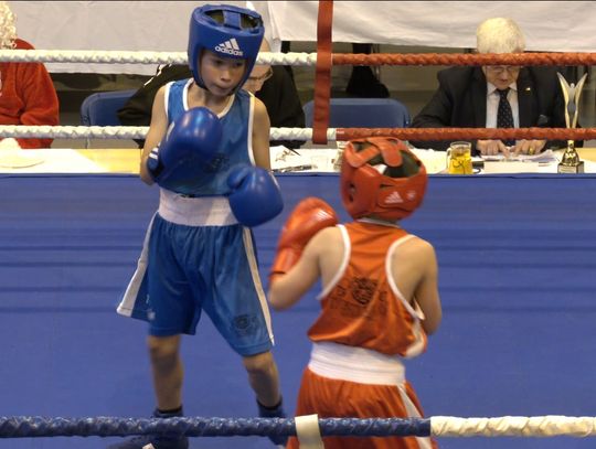 Mikołajkowy Turniej Bokserski w Elblągu [RELACJA WIDEO]