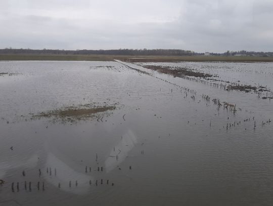 Miliony na walkę z powodzią. Żuławy dostaną pilne wsparcie