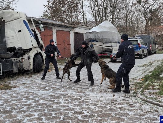 Moc, precyzja i instynkt. Elbląg na tropie [FOTO]