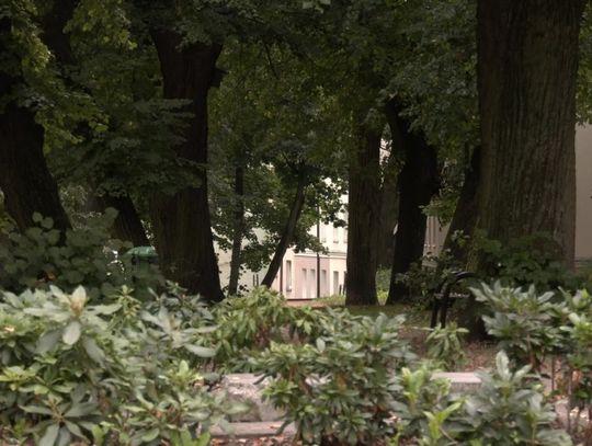 Monitoring w Parku Traugutta [materiał wideo]