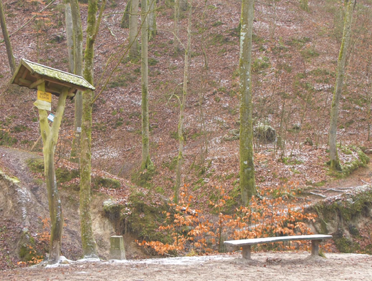 Mostek Elewów w Bażantarni ma wrócić na swoje miejsce.  Dyrekcja czeka na decyzję z Olsztyna [WIDEO]