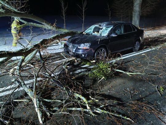 Na jadący samochód spadł konar drzewa Na jadący samochód spadł konar drzewa