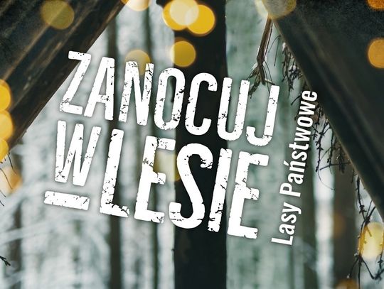 Na majówkę zanocuj w lesie Nadleśnictwa Elbląg