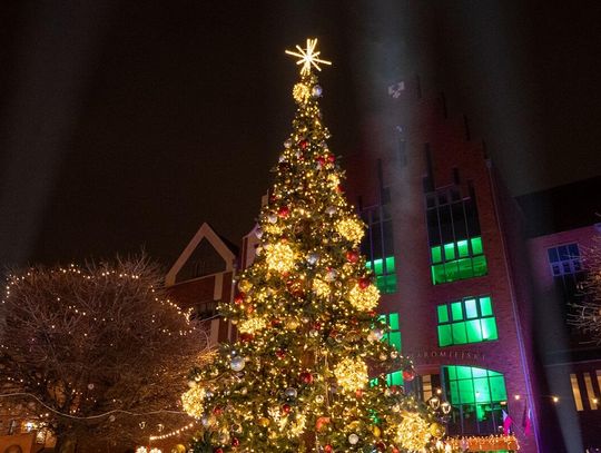 Na Starym Mieście rozbłysła choinka [FOTO I WIDEO]