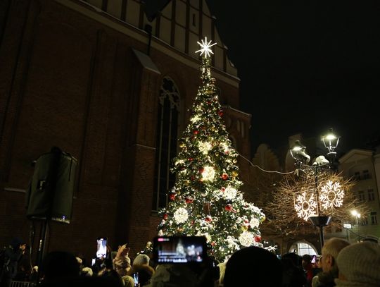 Na Starym Mieście rozbłysła świąteczna choinka