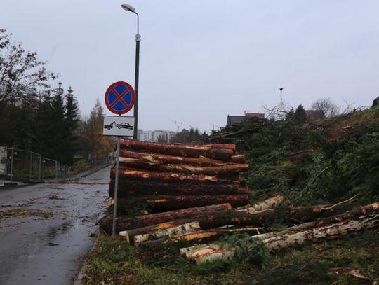 Na terenie szpitala ruszyła wycinka drzew [FOTO]