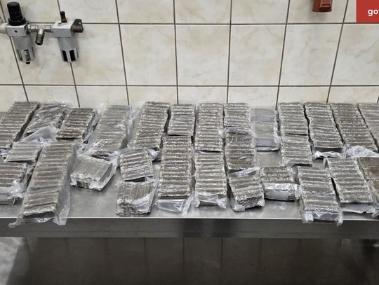 Naloty w Elblągu po zatrzymaniu na granicy
