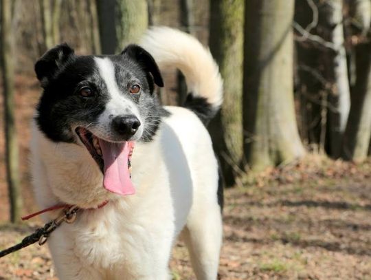 "Nie mieści Wam się w głowach, że można poświęcać się dla innych zamiast dla kasy" 