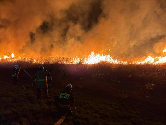 Niebo stanęło w ogniu. Strażacy walczyli z żywiołem po zmroku [FOTO]