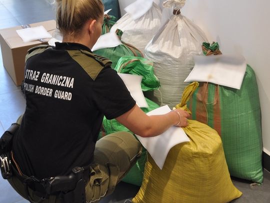 Nielegalna krajanka tytoniowa w Elblągu
