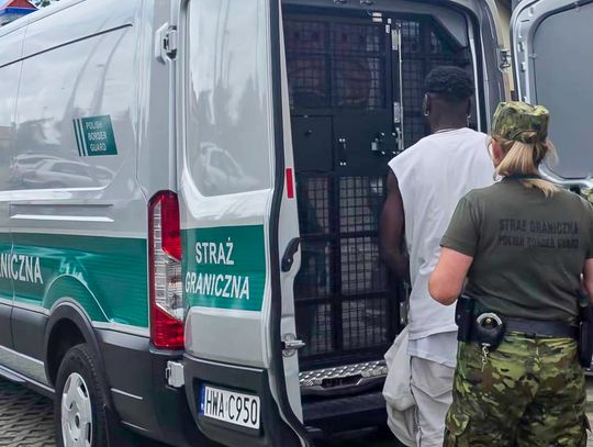 Nielegalny pobyt i narkotyki. Śledczy weszli do mieszkania w Elblągu