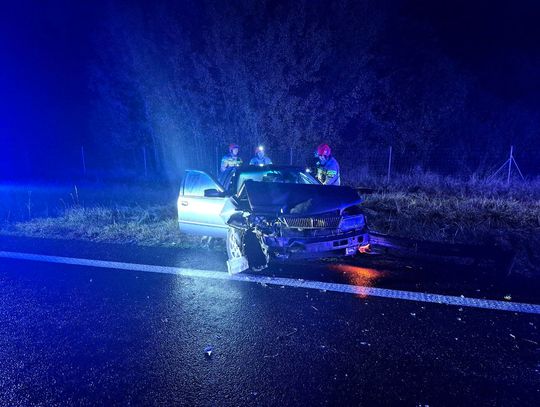 Nocny wypadek na trasie Elbląg-Braniewo Nocny wypadek na trasie Elbląg-Braniewo