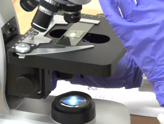 Nowa ekopracowania na edukacyjnej mapie Elbląga